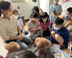 屏東民生國小有「愛聽念書的狗狗」 輔助犬令學童愛上閱讀