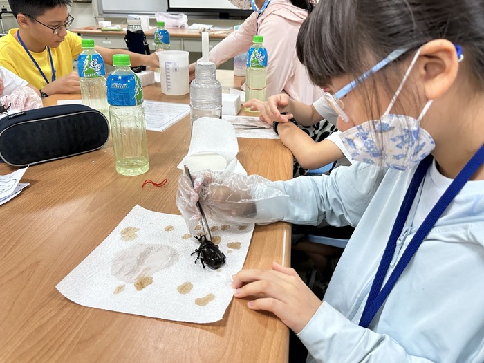 【科傳系「蟲蟲特攻隊」實踐大學社會責任】圖片
